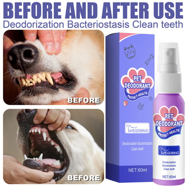 Dog Teeth Cleaning 014