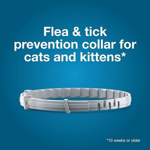 Flea Collar For cats 013