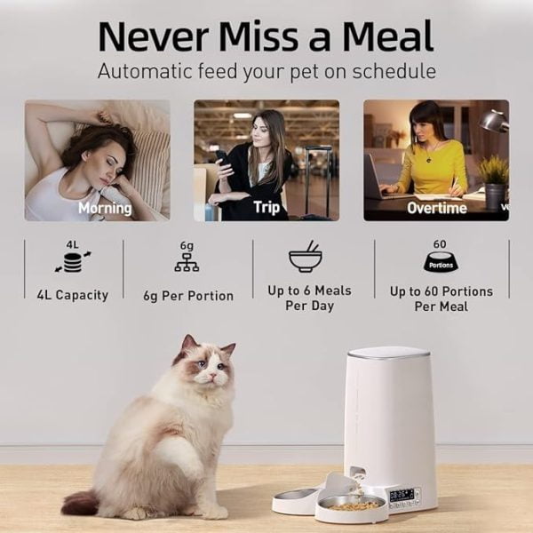 Best Automatic Cat Feeder 029
