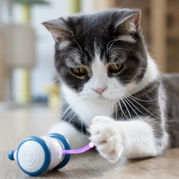 Cat Toy - Electric mouse 004