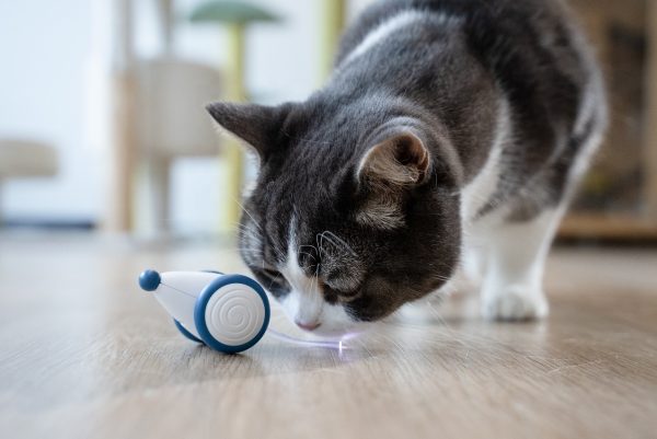 Cat Toy - Electric mouse 006