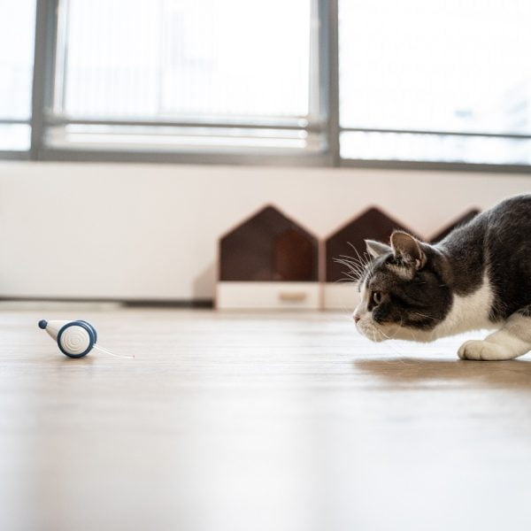 Cat Toy - Electric mouse 010